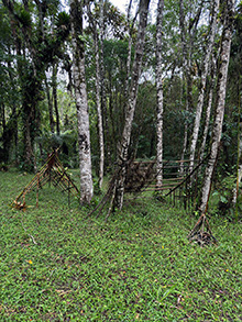 acari_120.jpg